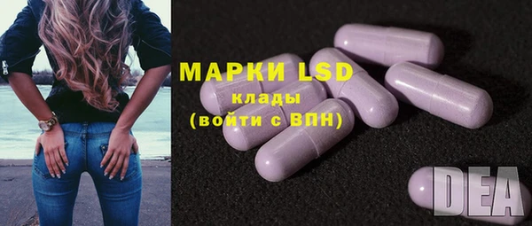 apvp Белокуриха