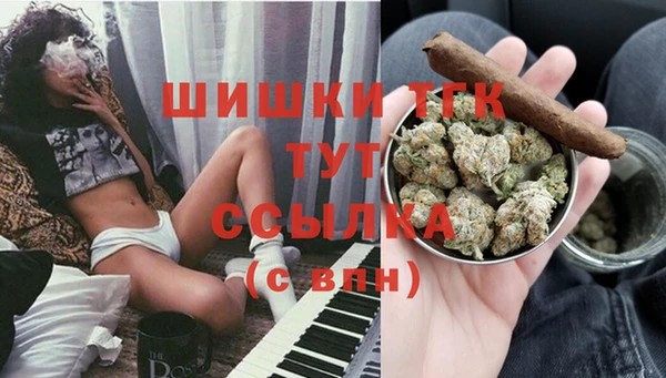apvp Белокуриха