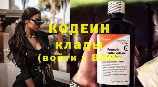 apvp Белокуриха