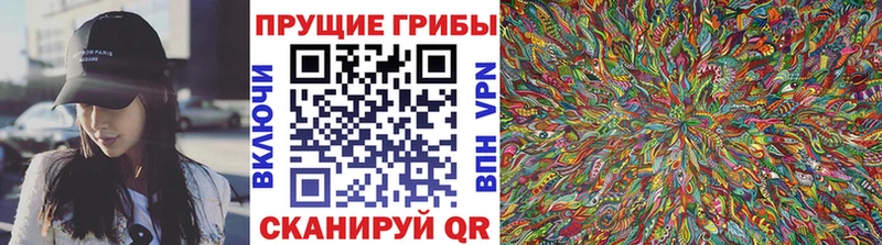 ссылка на мегу зеркало  Волжск  Галлюциногенные грибы GOLDEN TEACHER  даркнет сайт 